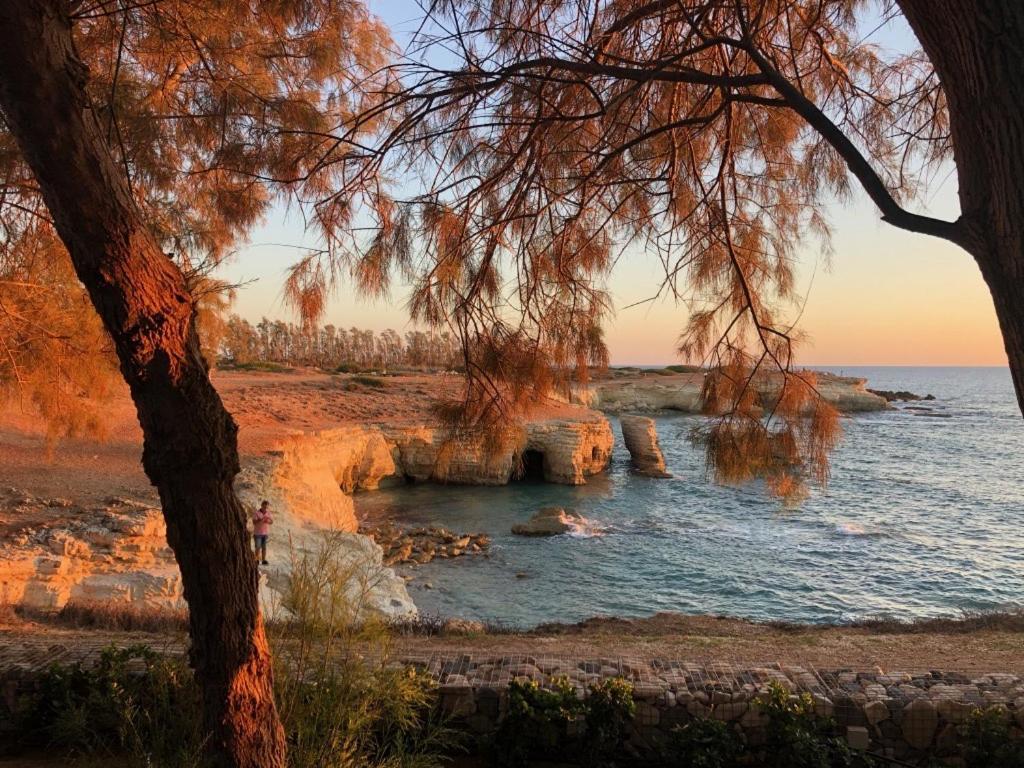 Cozy Apartment In Paphos Beautiful Complex 外观 照片
